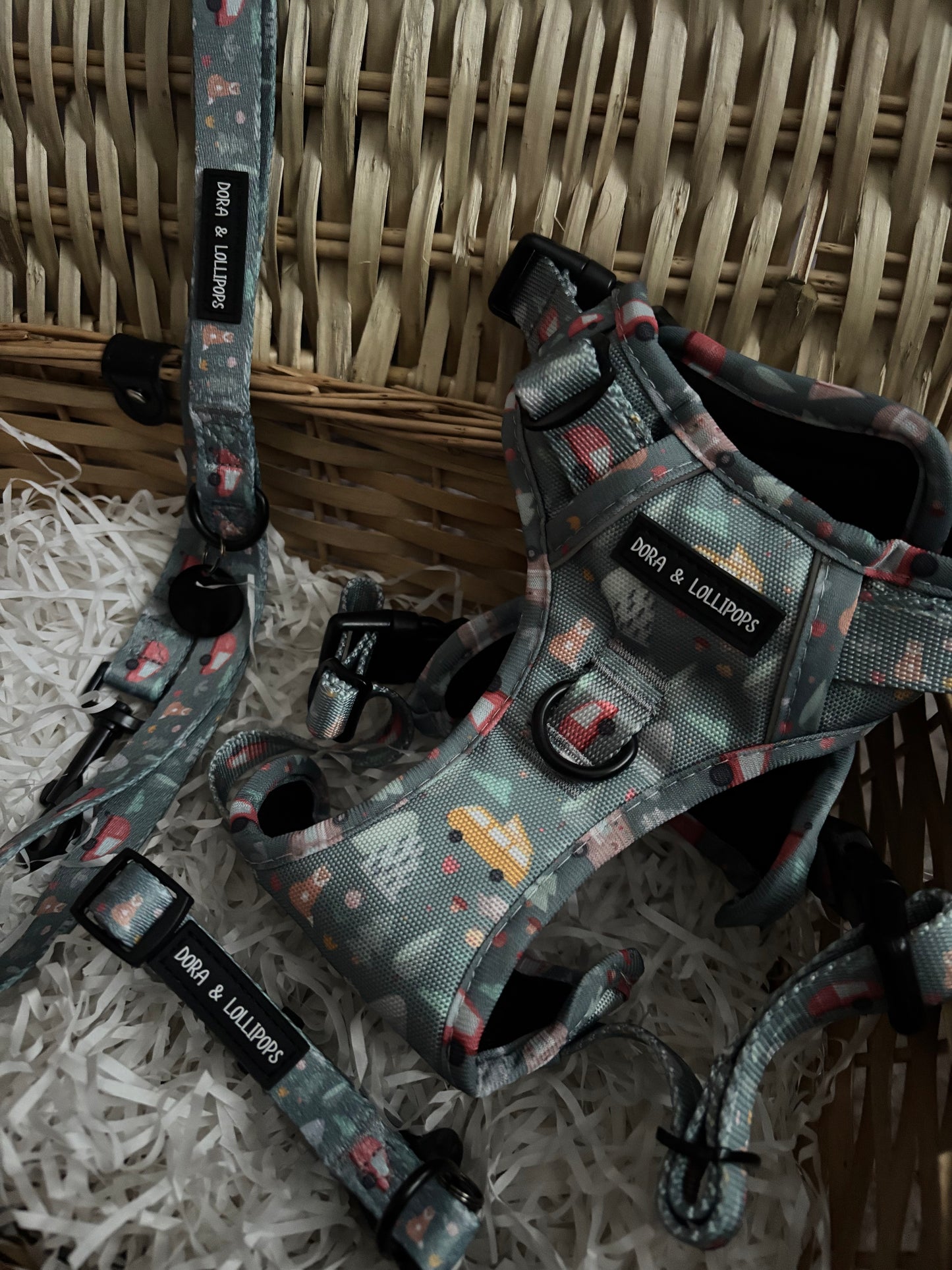 Outdoor Explorer No Pull Tough Adventure Harness