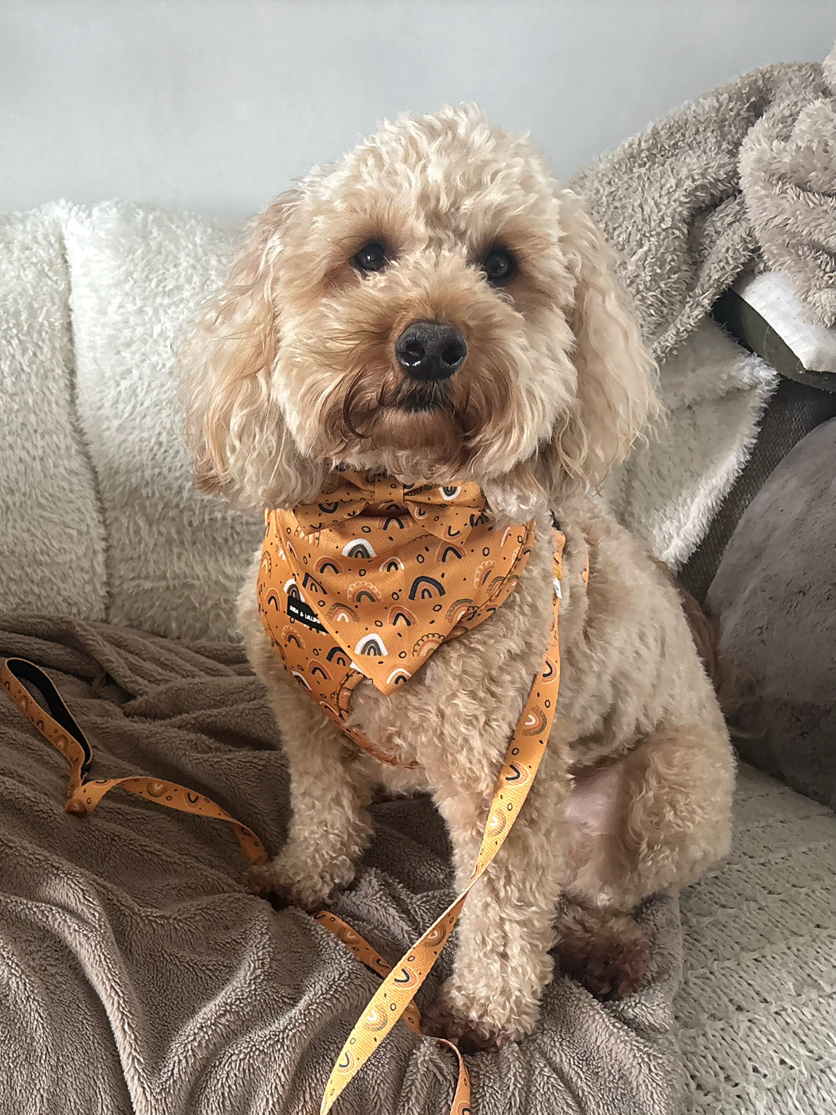 Boho Rainbows Bandana / Neck Scarf