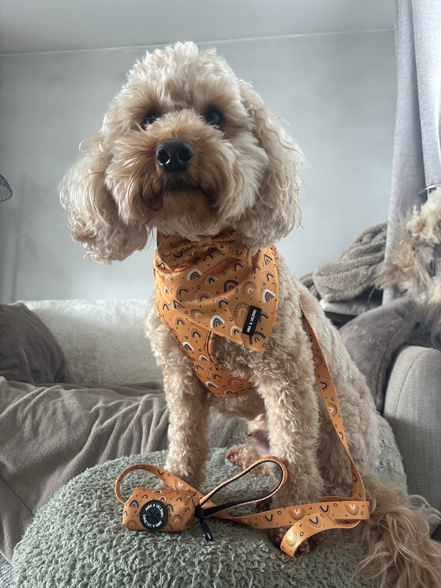 Boho Rainbows Bandana / Neck Scarf