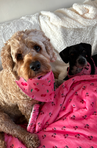 Cherry Drops Bandana / Neck Scarf