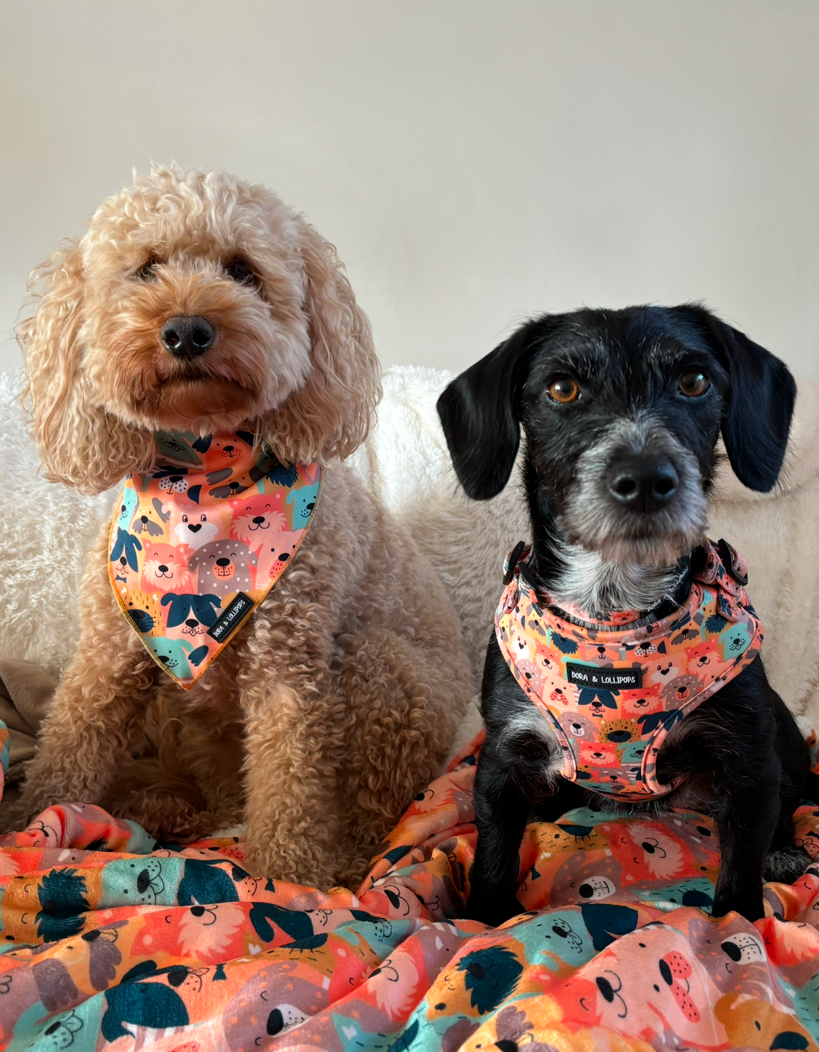 Dogs Club Neoprene Dog Harness