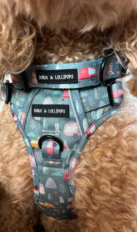 Outdoor Explorer No Pull Tough Adventure Harness