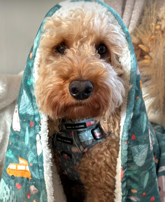 Outdoor Explorer Fleece Snuggle Blanket