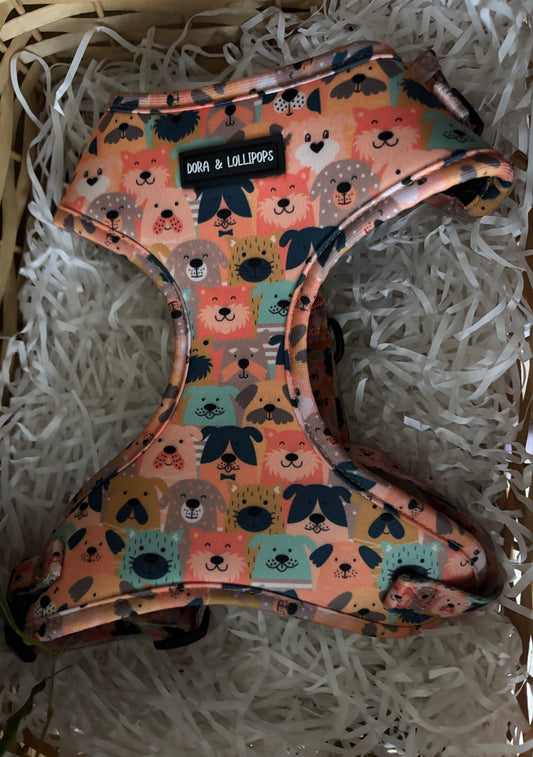 Dogs Club Neoprene Dog Harness