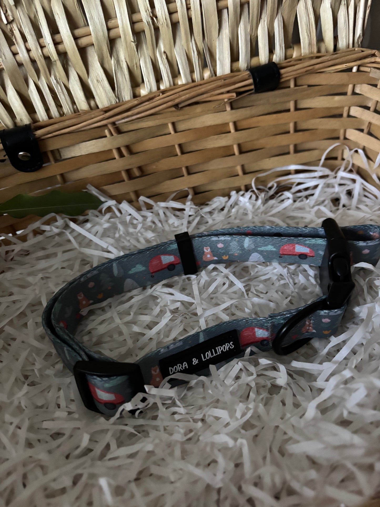 Outdoor Explorers Dog Collar