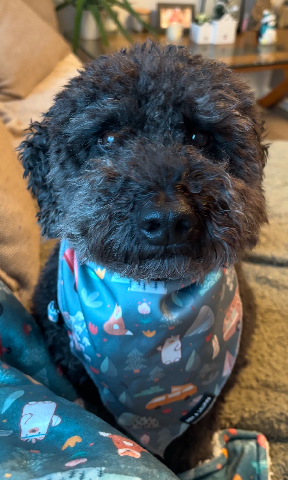 Outdoor Explorer Bandana / Neck Scarf