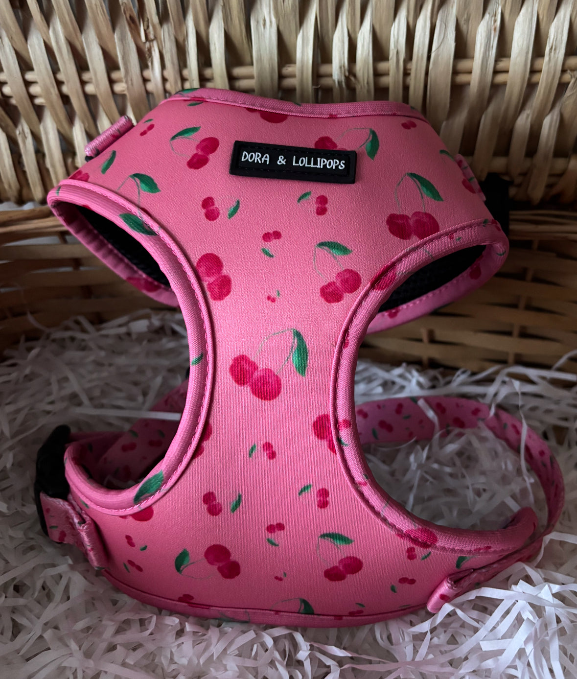 Cherry Drops Neoprene Dog Harness