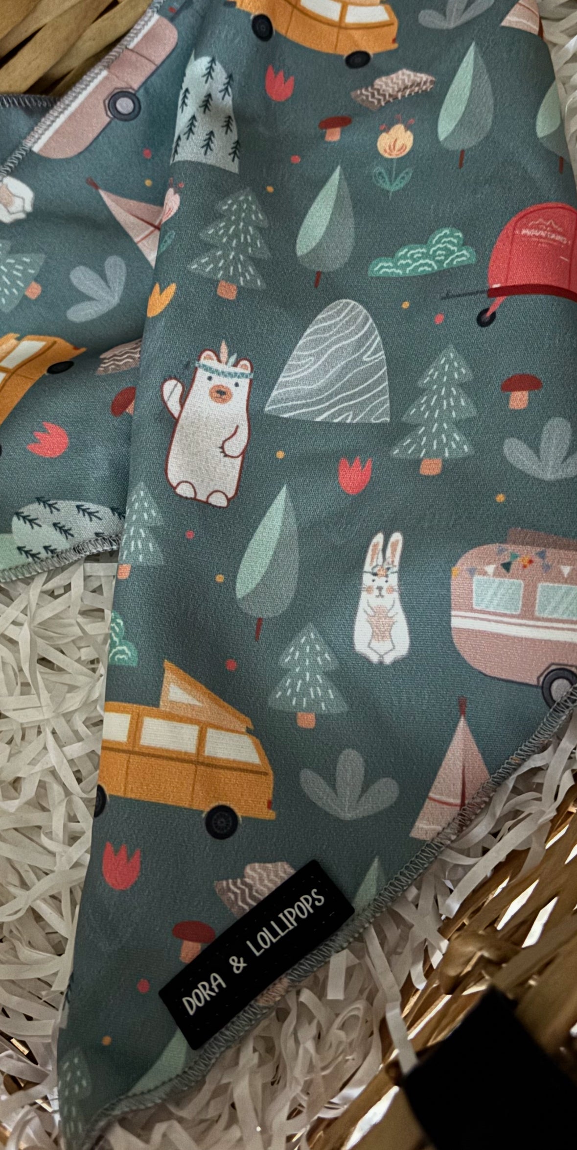 Outdoor Explorer Bandana / Neck Scarf
