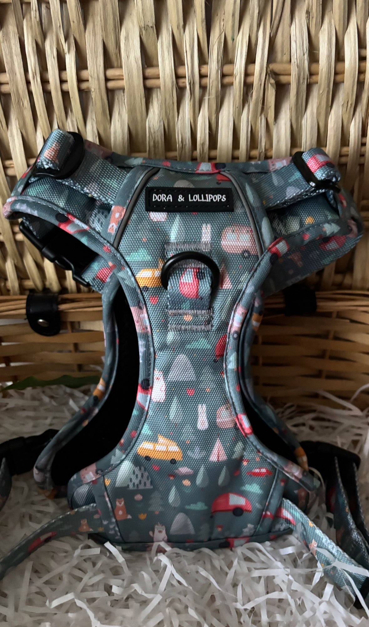 Outdoor Explorer No Pull Tough Adventure Harness